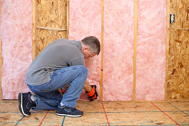 Best Specialized Insulation Services in Ranchester, WY