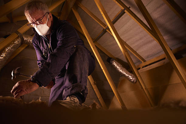 Best DIY Insulation Kits and Guidance in Ranchester, WY